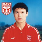 Dobromir Mitov