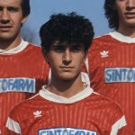 Petar Sashov