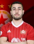 Aleksandar V.  Georgiev