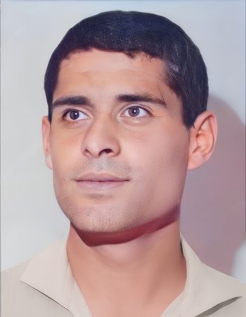 Aleksandar  Shalamanov