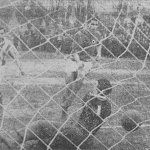 CDNA-P. Bonev 13:0